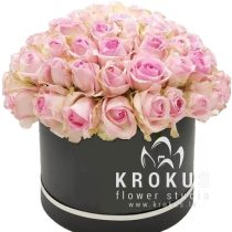 Rozā rozes cepuru kastē