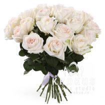 Peonveidīgās rozes