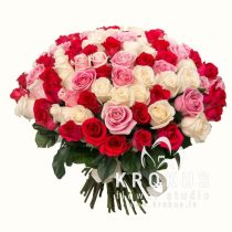 Roze MIX 60CM ❤️