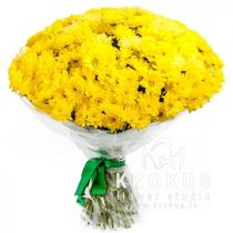Bouquet of chrysanthemums  "Sunny happiness"