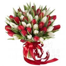 Sarkano un balto tulpju pušķis