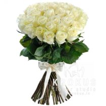 Baltas rozes XXL 80cm