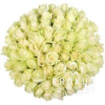 White roses 40cm