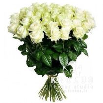 Baltas rozes XXL 50cm