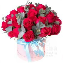 Aveņkrāsas rozes kastē