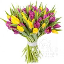 Bouquet of violet and jellow tulips