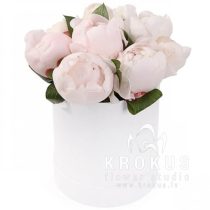 Baltās peonijas cepurkastē