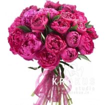 Aveņkrāsas peonijas