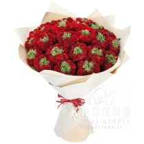 Sarkanas dārza rozes