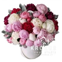 Mix peonies in box