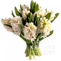 Pušķis no baltām hiacintēm