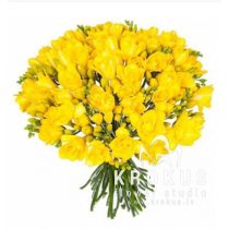 Dzelteno frēziju pušķis