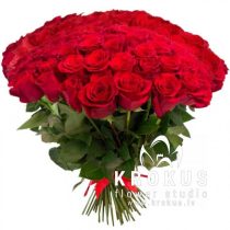 Sarkanas Rozes XXL 40cm