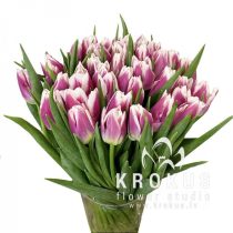 Букет бело-фиолетовых тюльпанов