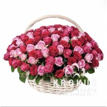 Rozā rožu grozs Avenes