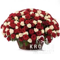 Rožu grozs ''Iemīlēšanās''