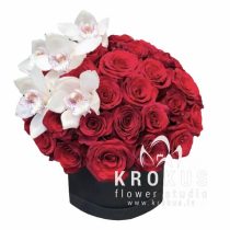 Mīlestība bez robežām