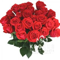 Light red roses 60cm