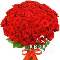 Light red roses 70cm