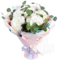 Balto hortenziju pušķis