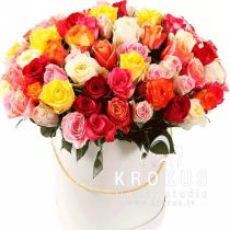 Dažādu krāsu rozes cepuru kastē