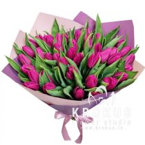 Violetu tulpju pušķis