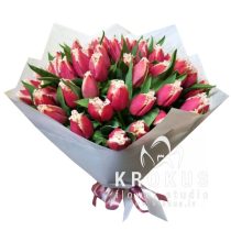 Franču samta tulpes