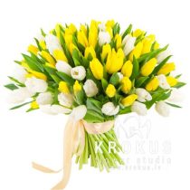 yellow and white tulips