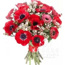 Anemones pušķis ar vaska puķēm