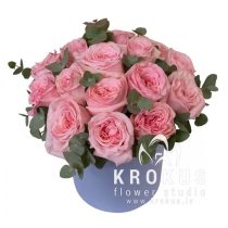 Rozā Peonijveida rozes kastē