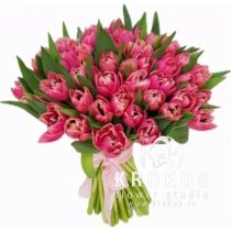 Bouquet of pink peony tulips