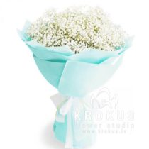 Bouquet of gypsophila