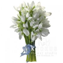 Pavasara sniegpulkstenīši 35cm