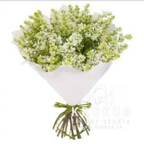 Balto ceriņu pušķis