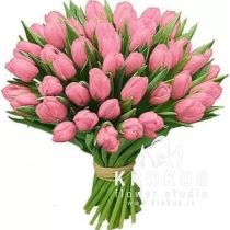 Rozā dārza tulpes 25cm