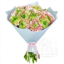 Ranunkuļu pušķis Pon Pon