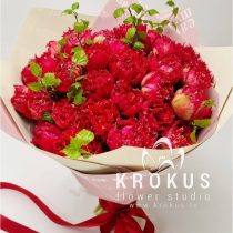 Sarkanas bārkstainās tulpes