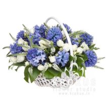 Hiacinšu un balto rožu grozs