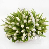 Basket white tulips