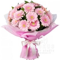 Bouquet of pink germini