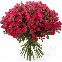 Krūmrožu pušķis - Fuksija