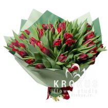 Bordo tulips