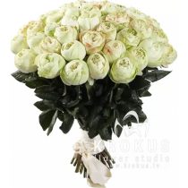 Peonijveidīgā roze Kahala