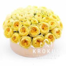 Dzeltenas Peonijveida rozes cepuru kastē