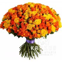 Saulaino rožu miks 50cm