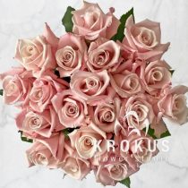 VIP Rose Помароза