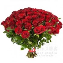 Sarkanas Holandes rozes 50cm