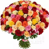 KRĀSAINO ROŽU PUŠĶIS 50cm