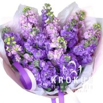 Aroma bouquet from mattiola