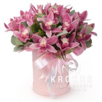 Rozā orhidejas kastē